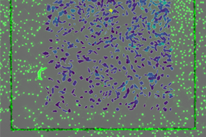 _images/spacem_helanih3t3.png