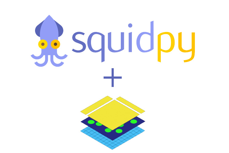 _images/squidpy_integration.jpg